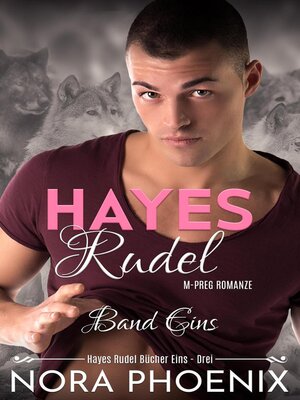 cover image of Hayes Rudel Band Eins